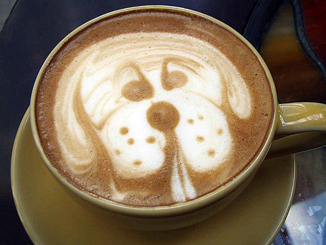 Cute-Dog-Face-Barista-Latte-Art.jpg