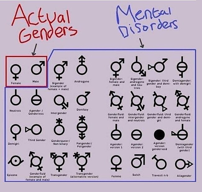 Genders!.jpg