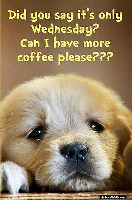 231155-Did-You-Say-Its-Only-Wednesday-Can-I-Have-More-Coffee.jpg