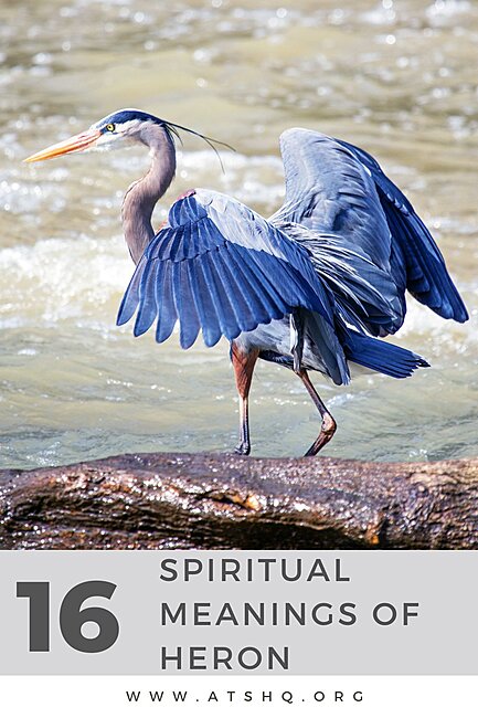 Click image for larger version

Name:	16-Spiritual-Meanings-Of-Heron.jpg
Views:	0
Size:	194.9 KB
ID:	99791