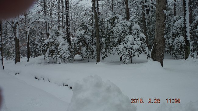2-26-15 snow 013.JPG