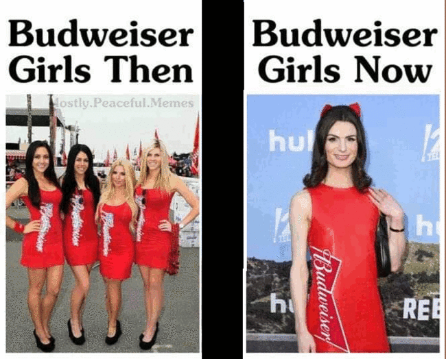 Bud girls.gif