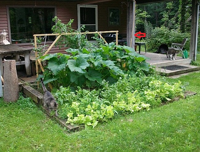 Click image for larger version

Name:	Garden 03.jpg
Views:	1
Size:	278.0 KB
ID:	98654