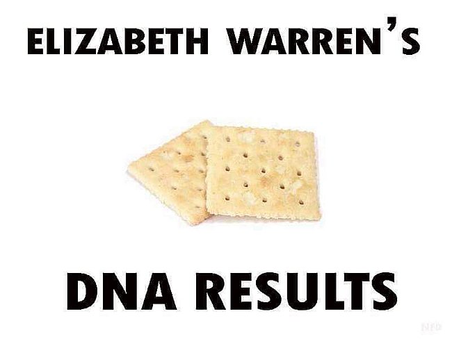 Elizabeth Warren's DNA.jpg