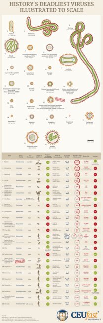 Click image for larger version

Name:	historys-deadliest-viruses-illustrated-to-scale-1140 (1).jpg
Views:	9
Size:	361.6 KB
ID:	49704