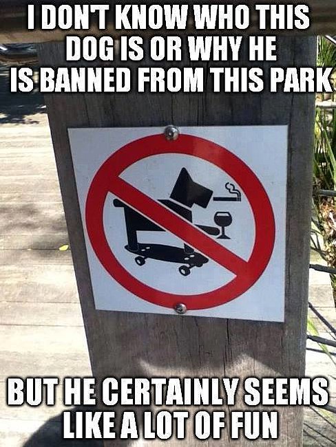 Click image for larger version

Name:	I-Dont-Know-Who-This-Dog-Is-Or-Why-He-Is-Banned-From-This-Park-Funny-Skateboarding-Meme-Image.jpg
Views:	0
Size:	58.1 KB
ID:	26068
