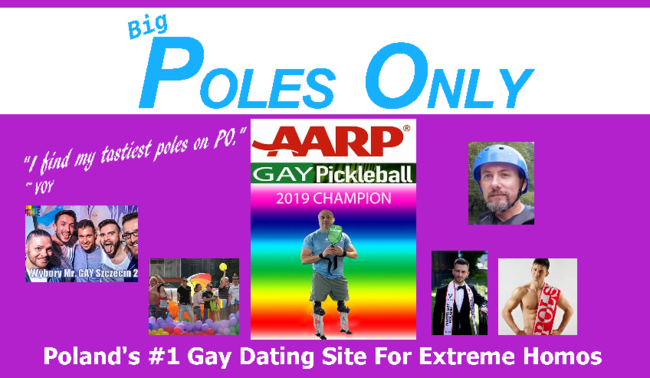 voy poles only1.png