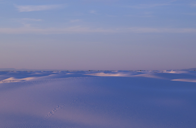 white-sands-scenic-shot-background.png