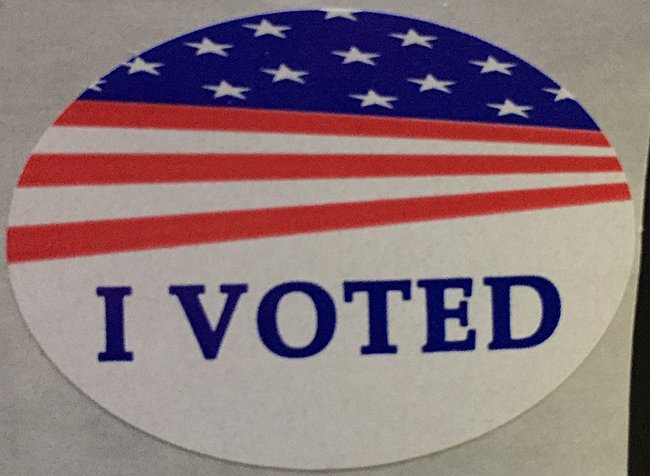 I Voted Grand Rapids.jpg
