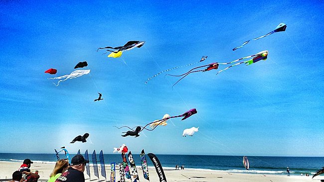 Kites on beach 1.jpg