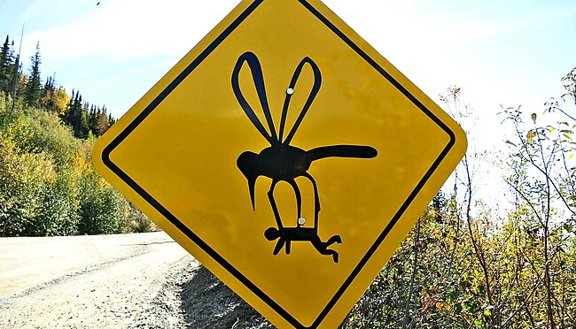 Click image for larger version

Name:	mosquito-carrying-person-sign_1600.jpg
Views:	0
Size:	251.7 KB
ID:	59313