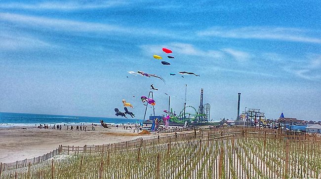 Kites on the beach.jpg