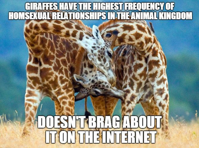 doesnt_brag_about_it_on_the_internet_funny_giraffe_meme_photo_8f7122aadfe5bf671e723994e804d40f20.png