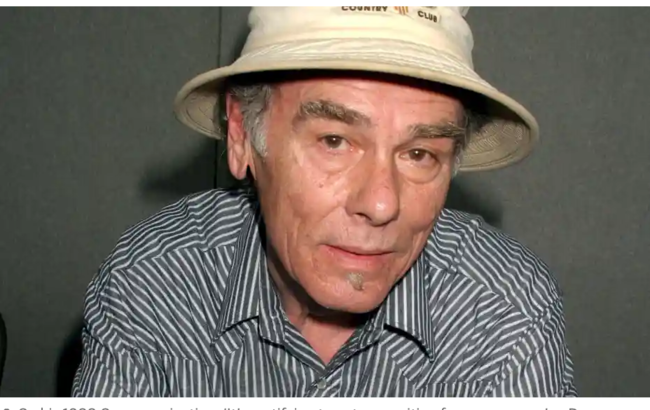 Screenshot 2021-11-09 at 07-25-59 Dean Stockwell, Quantum Leap and Blue Velvet actor, dies aged .png